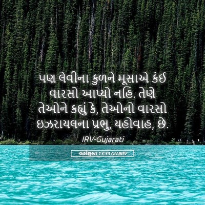 Picture 05 - યહોશુઆ 13:33 GUJIRV - પણ લેવીના કુળને - Bible Verse Picture