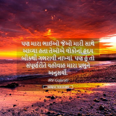 Picture 05 - યહોશુઆ 14:8 GUJIRV - પણ મારા ભાઈઓ જેઓ - Bible Verse Picture