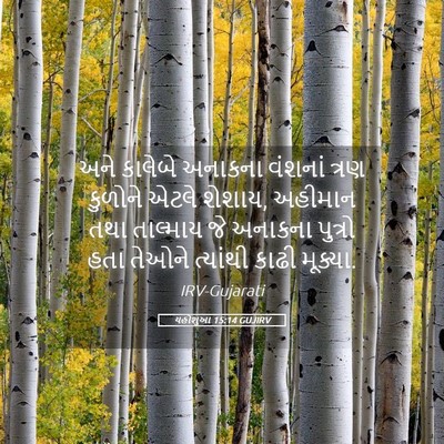 Picture 05 - યહોશુઆ 15:14 GUJIRV - અને કાલેબે અનાકના - Bible Verse Picture