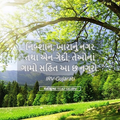 Picture 05 - યહોશુઆ 15:62 GUJIRV - નિબ્શાન, ખારાનું - Bible Verse Picture