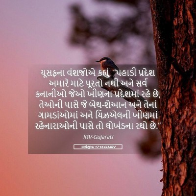 Picture 05 - યહોશુઆ 17:16 GUJIRV - યૂસફના વંશજોએ - Bible Verse Picture
