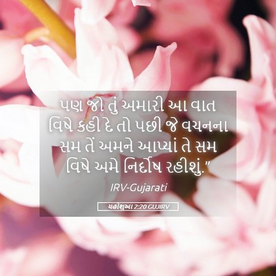 Picture 05 - યહોશુઆ 2:20 GUJIRV - પણ જો તું અમારી આ - Bible Verse Picture