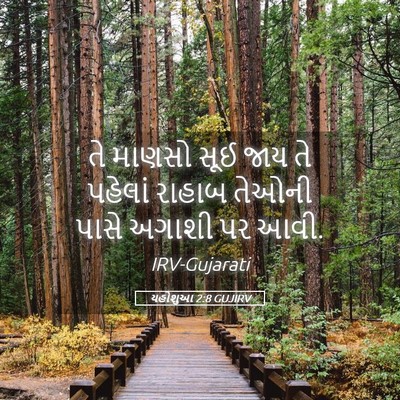 Picture 05 - યહોશુઆ 2:8 GUJIRV - તે માણસો સૂઈ જાય તે - Bible Verse Picture