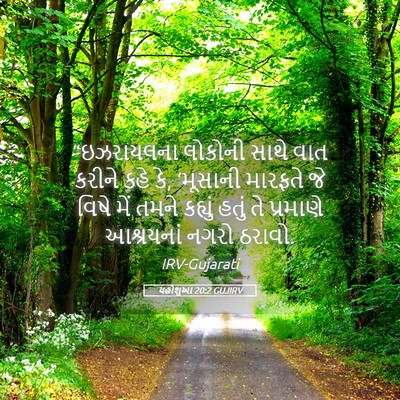Picture 05 - યહોશુઆ 20:2 GUJIRV - “ઇઝરાયલના લોકોની - Bible Verse Picture
