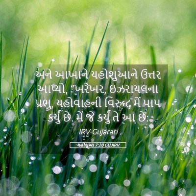 Picture 05 - યહોશુઆ 7:20 GUJIRV - અને આખાને - Bible Verse Picture