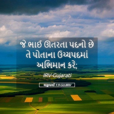 Picture 05 - યાકૂબનો 1:9 GUJIRV - જે ભાઈ ઊતરતા પદનો - Bible Verse Picture