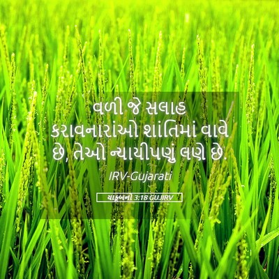 Picture 05 - યાકૂબનો 3:18 GUJIRV - વળી જે સલાહ - Bible Verse Picture
