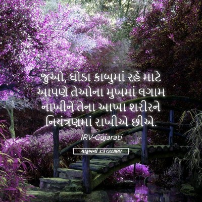 Picture 05 - યાકૂબનો 3:3 GUJIRV - જુઓ, ઘોડા કાબુમાં - Bible Verse Picture