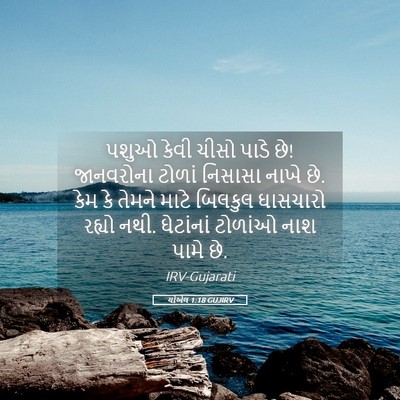 Picture 05 - યોએલ 1:18 GUJIRV - પશુઓ કેવી ચીસો - Bible Verse Picture