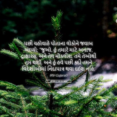 Picture 05 - યોએલ 2:19 GUJIRV - પછી યહોવાહે - Bible Verse Picture