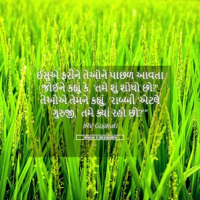 Picture 05 - યોહાન 1:38 GUJIRV - ઈસુએ ફરીને તેઓને - Bible Verse Picture