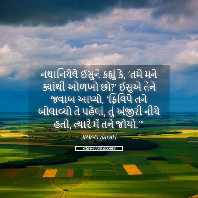 Picture 05 - યોહાન 1:48 GUJIRV - નથાનિયેલે ઈસુને - Bible Verse Picture