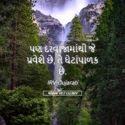 Picture 05 - યોહાન 10:2 GUJIRV - પણ દરવાજામાંથી જે - Bible Verse Picture