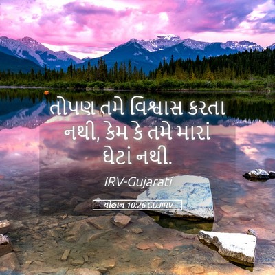 Picture 05 - યોહાન 10:26 GUJIRV - તોપણ તમે વિશ્વાસ - Bible Verse Picture