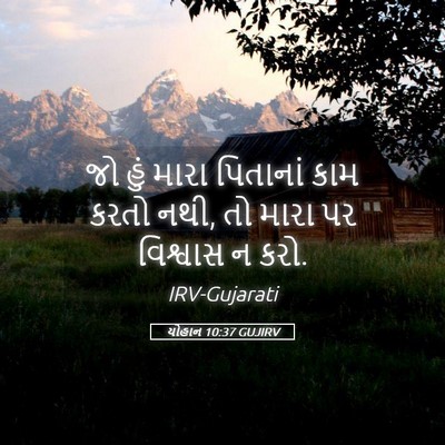 Picture 05 - યોહાન 10:37 GUJIRV - જો હું મારા - Bible Verse Picture