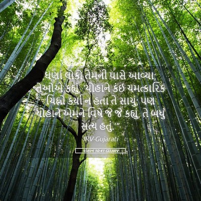 Picture 05 - યોહાન 10:41 GUJIRV - ઘણાં લોકો તેમની - Bible Verse Picture