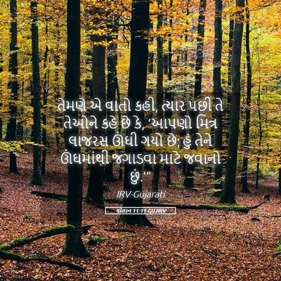 Picture 05 - યોહાન 11:11 GUJIRV - તેમણે એ વાતો કહી, - Bible Verse Picture