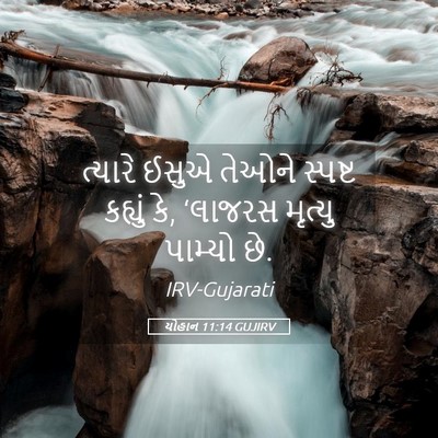 Picture 05 - યોહાન 11:14 GUJIRV - ત્યારે ઈસુએ તેઓને - Bible Verse Picture