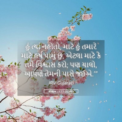 Picture 05 - યોહાન 11:15 GUJIRV - હું ત્યાં નહોતો, - Bible Verse Picture