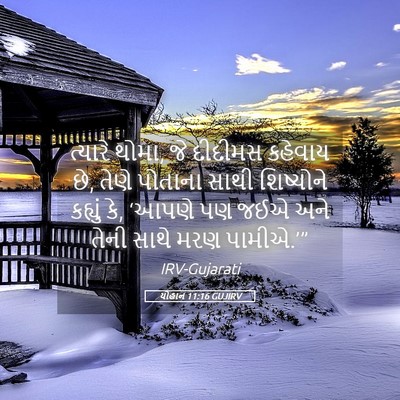 Picture 05 - યોહાન 11:16 GUJIRV - ત્યારે થોમા, જે - Bible Verse Picture