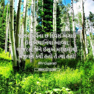 Picture 05 - યોહાન 12:1 GUJIRV - પાસ્ખાપર્વના છ - Bible Verse Picture