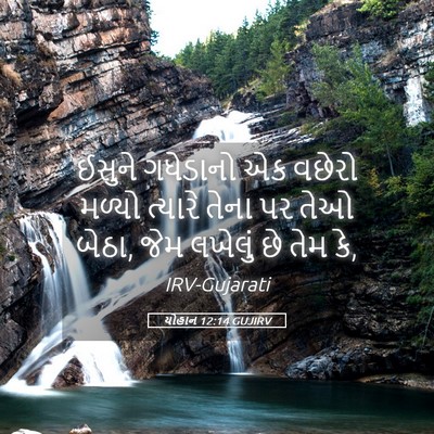 Picture 05 - યોહાન 12:14 GUJIRV - ઈસુને ગધેડાનો એક - Bible Verse Picture