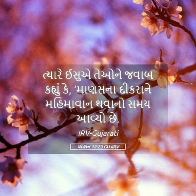 Picture 05 - યોહાન 12:23 GUJIRV - ત્યારે ઈસુએ તેઓને - Bible Verse Picture