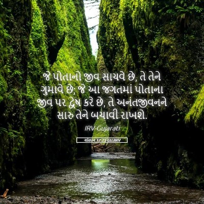 Picture 05 - યોહાન 12:25 GUJIRV - જે પોતાનો જીવ - Bible Verse Picture