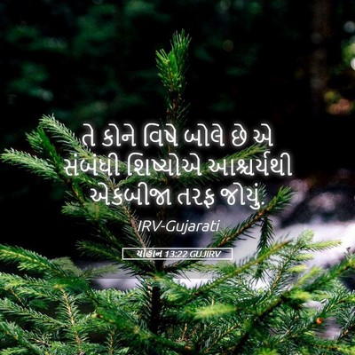 Picture 05 - યોહાન 13:22 GUJIRV - તે કોને વિષે બોલે - Bible Verse Picture