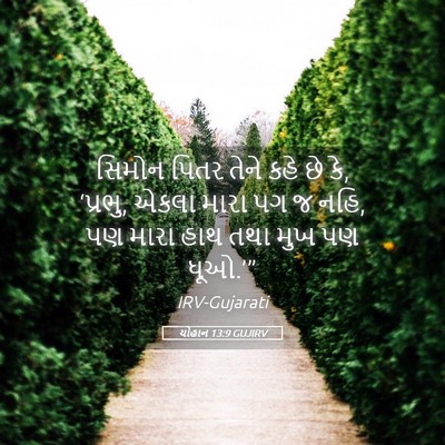 Picture 05 - યોહાન 13:9 GUJIRV - સિમોન પિતર તેને - Bible Verse Picture