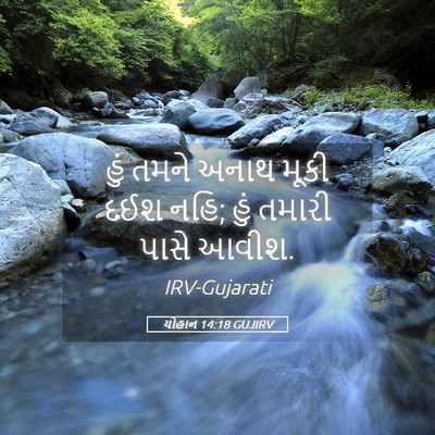 Picture 05 - યોહાન 14:18 GUJIRV - હું તમને અનાથ મૂકી - Bible Verse Picture