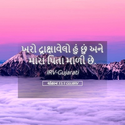 Picture 05 - યોહાન 15:1 GUJIRV - ખરો દ્રાક્ષાવેલો - Bible Verse Picture