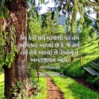 Picture 05 - યોહાન 17:2 GUJIRV - કેમ કે તે સર્વ - Bible Verse Picture