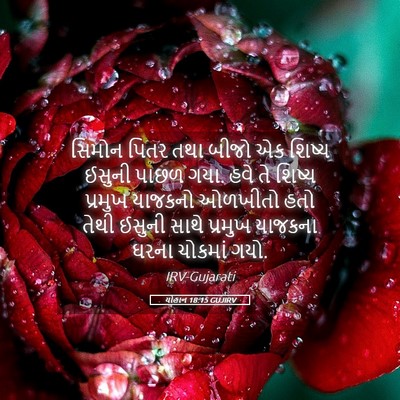 Picture 05 - યોહાન 18:15 GUJIRV - સિમોન પિતર તથા - Bible Verse Picture