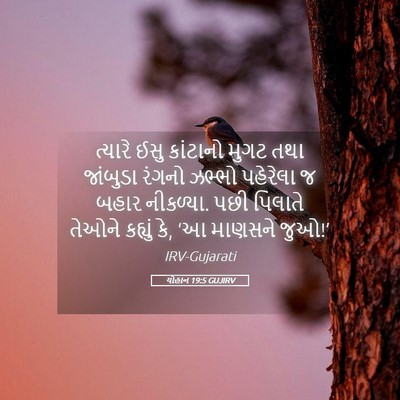 Picture 05 - યોહાન 19:5 GUJIRV - ત્યારે ઈસુ - Bible Verse Picture