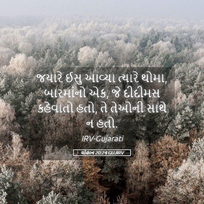 Picture 05 - યોહાન 20:24 GUJIRV - જયારે ઈસુ આવ્યા - Bible Verse Picture