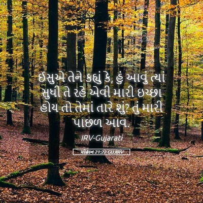Picture 05 - યોહાન 21:22 GUJIRV - ઈસુએ તેને કહ્યું - Bible Verse Picture
