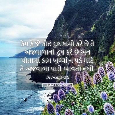 Picture 05 - યોહાન 3:20 GUJIRV - કેમ કે જે કોઈ દુષ્ટ - Bible Verse Picture