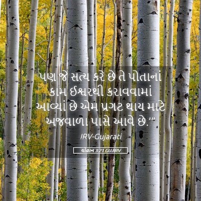 Picture 05 - યોહાન 3:21 GUJIRV - પણ જે સત્ય કરે છે - Bible Verse Picture