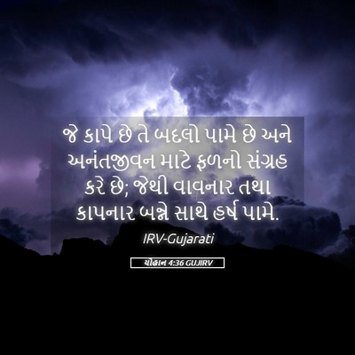 Picture 05 - યોહાન 4:36 GUJIRV - જે કાપે છે તે બદલો - Bible Verse Picture