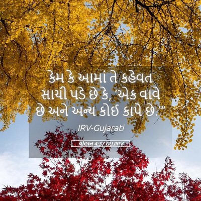 Picture 05 - યોહાન 4:37 GUJIRV - કેમ કે આમાં તે - Bible Verse Picture