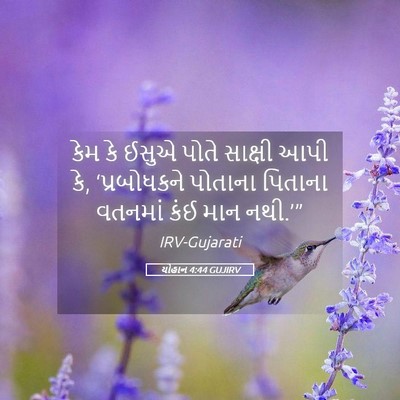 Picture 05 - યોહાન 4:44 GUJIRV - કેમ કે ઈસુએ પોતે - Bible Verse Picture