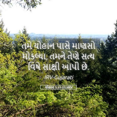 Picture 05 - યોહાન 5:33 GUJIRV - તમે યોહાન પાસે - Bible Verse Picture