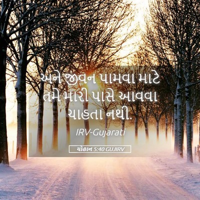 Picture 05 - યોહાન 5:40 GUJIRV - અને જીવન પામવા - Bible Verse Picture
