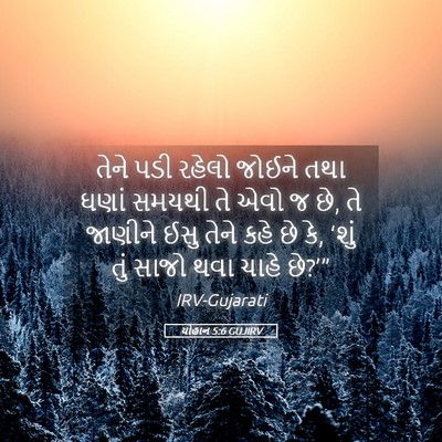 Picture 05 - યોહાન 5:6 GUJIRV - તેને પડી રહેલો - Bible Verse Picture