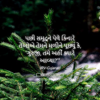 Picture 05 - યોહાન 6:25 GUJIRV - પછી સમુદ્રને પેલે - Bible Verse Picture
