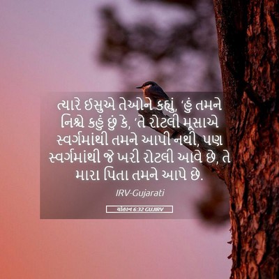Picture 05 - યોહાન 6:32 GUJIRV - ત્યારે ઈસુએ તેઓને - Bible Verse Picture