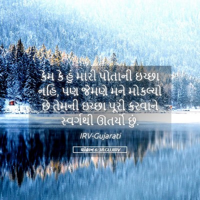 Picture 05 - યોહાન 6:38 GUJIRV - કેમ કે હું મારી - Bible Verse Picture