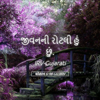 Picture 05 - યોહાન 6:48 GUJIRV - જીવનની રોટલી હું - Bible Verse Picture