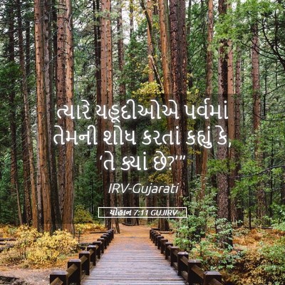 Picture 05 - યોહાન 7:11 GUJIRV - ત્યારે યહૂદીઓએ - Bible Verse Picture